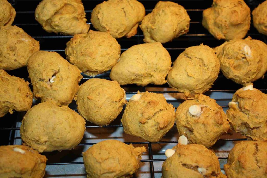 pumpkin chocolate chip cookies recipe