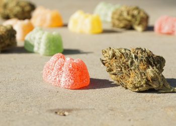Best Weed Edibles