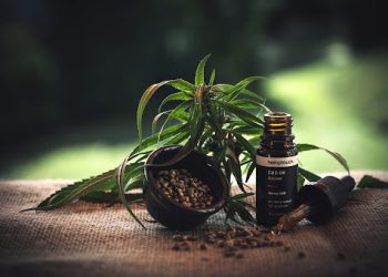cbd