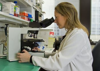 Pre-Employment Drug Test