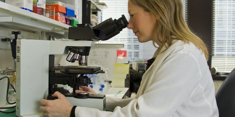 Pre-Employment Drug Test