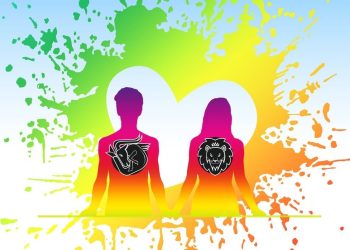 Capricorn and Leo Soulmate Connection