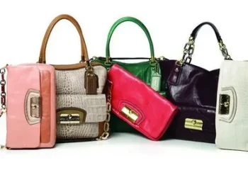 Handbag Colours Which Are Perfect for the Fall Season!