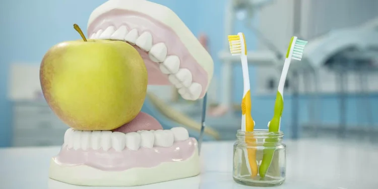 The Confidence Behind a New Smile: Dental Implants Explained